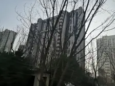 韩仓河旁万科龙湖精装四面宽底跃总面积282.8平