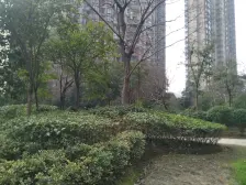 地铁口 精装修 环境好 出入方便