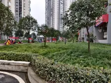 杨家坪清水三房 户型方正 配置齐全