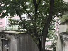 巴教村社区 2室2厅 南 北