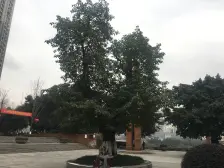 北城国际中心 4室1厅 南