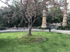 苏州河 一线江景 进门就是景观 楼层很好 全天采光