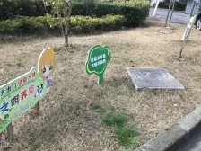 价格实惠,看中还可谈,采光好。