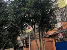 国年路65弄小区1室1厅1卫南朝向218.00万元/套出售