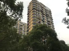 万达商圈+中间位置+南北通透+政府中轴线上的小区