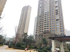 中间好位置,次新小区双卫大三房,含车位