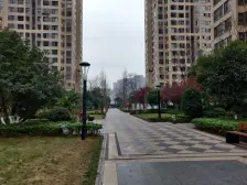 万科西城东区 2室1厅 南 东南