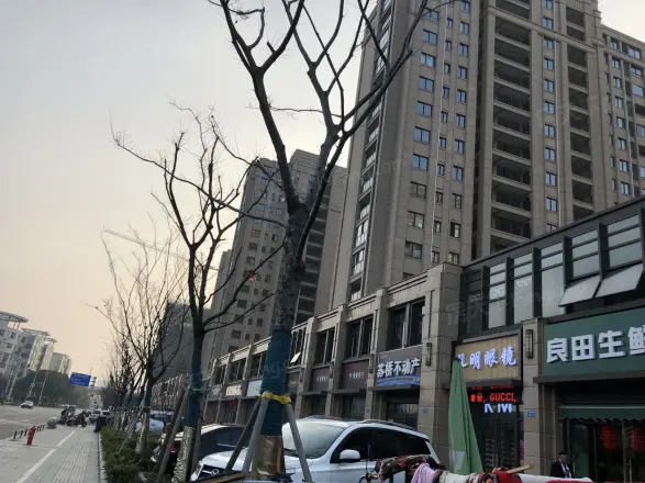 牡丹水岸国际