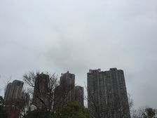 保利香槟国际 三室 毛坯满二视野宽广 中间楼层 随时看