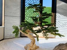 府前龙樾精装修拎包入住怀柔城区电梯房三居室