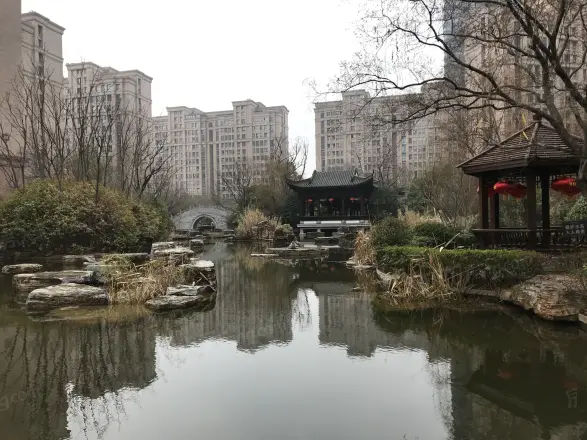 百协大溪地