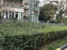 近地铁,中间楼层,无抵押,电梯房,新上房源