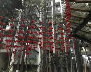 金沙鹭岛二期4室2厅东