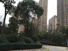 保利前排大4房2卫 视野采光可以看房方便