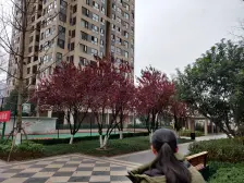 九龙坡彩云湖畔少有清水房,随自己心意装修