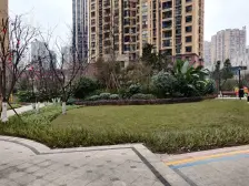 盘龙商圈房 出行方便 配套齐全 采光好 看房方便