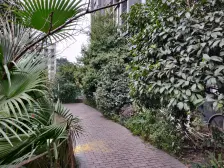 :杨家坪商圈精装1房出行方楼下公交站轻轨18号线