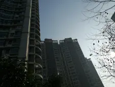 笔架山 森林海(新建) 3室 2厅,合肥政务新区八中森林