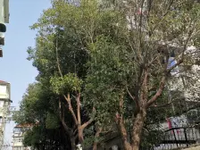 一梯四户,南北通透,闹中取静,近商圈