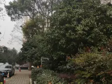满五年税费少,诚意出售,视野好采光足