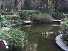 满五唯一,楼层好,采光佳,视野开阔,万达欧尚山姆旁