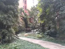 蓝溪谷地 2室1厅 东南 南