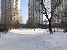 南岗区 哈西地铁口双线 户型优异 全天采光 无大税