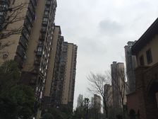 四期,一线运河景观,中上楼层,全天采光,视野开阔