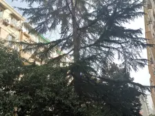 虹口区鲁迅公园祥德新苑2室0厅