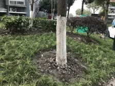 目前小区装修全新的一套,去年装修,大面积可拎包入住