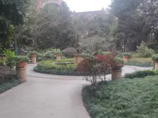 蓝溪谷地 电梯洋房顶跃 精装修 业主诚心