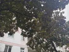 贵都花园 电梯顶楼复式空中别墅是也很好采光无遮挡诚心出售