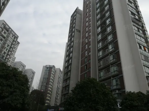 星城映象