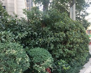 复地崑玉府4室2厅南