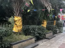 国宾豪庭二期幸福时光 2室1厅 南