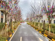 北大资源四期毛坯房 可使用面积多 满二大花院
