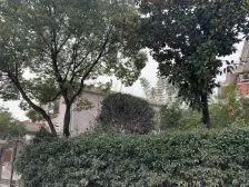 带露台 大平层 精装 满五