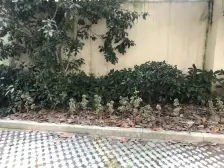 栖山路450弄 2室1厅 南