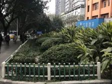 大坪 莲花国际三房105万