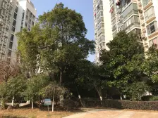 蓝天郡 全新精装 南北通透 端户三居 直接拎包入住