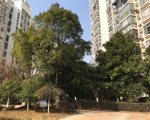 蓝天郡南北通透,采光好近地铁中间楼层