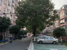 沪江新苑 3室2厅 南 北