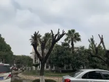 临河双拼 南进门南花园200平 送80平亲水露台