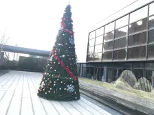 金悦湾三期电梯好楼层南北通透户型采光好海湾中小 学