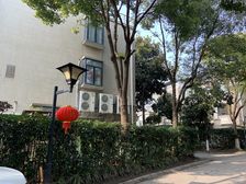 大虹桥、低密别墅,双拼,地下室、车库、大花园