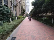 融侨公园旁 清水大平层顶楼 视野看湖看江 无遮挡!