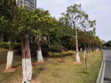 前排高层看湾、毛坯可灵活改动、带30平大阳台