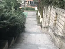 渝中 国宾豪庭幸福时光 2室1厅