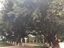 大坪 星月湾三房92万