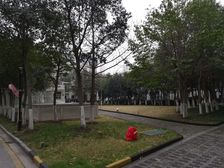 金鸡湖旁低密度洋房南山巴黎精装地暖三房地铁口